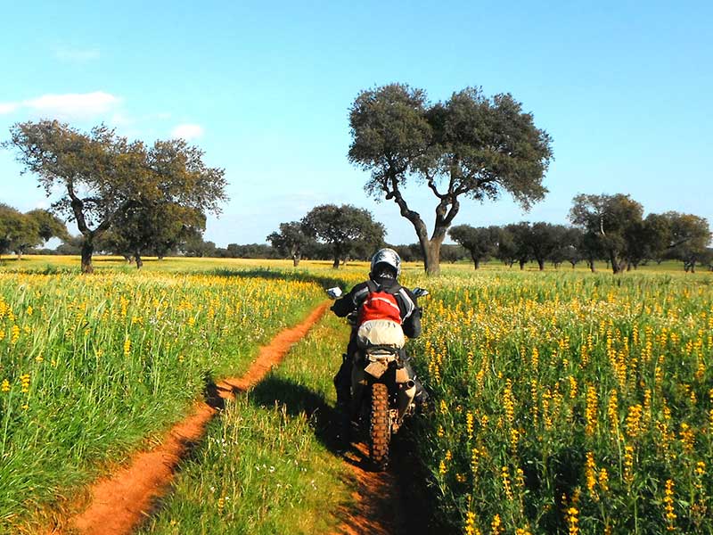 5 Tage Offroad-Training & Tour in Portugal