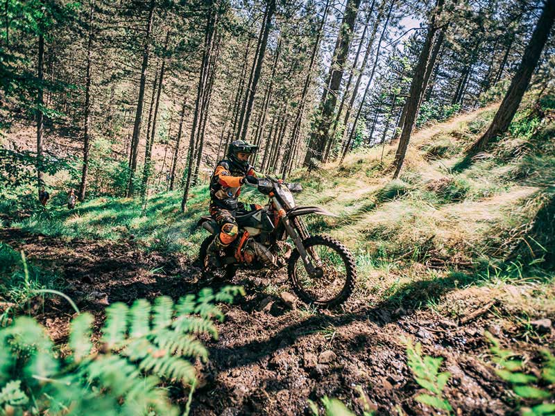 5-tägige Enduro Reise in Serbien