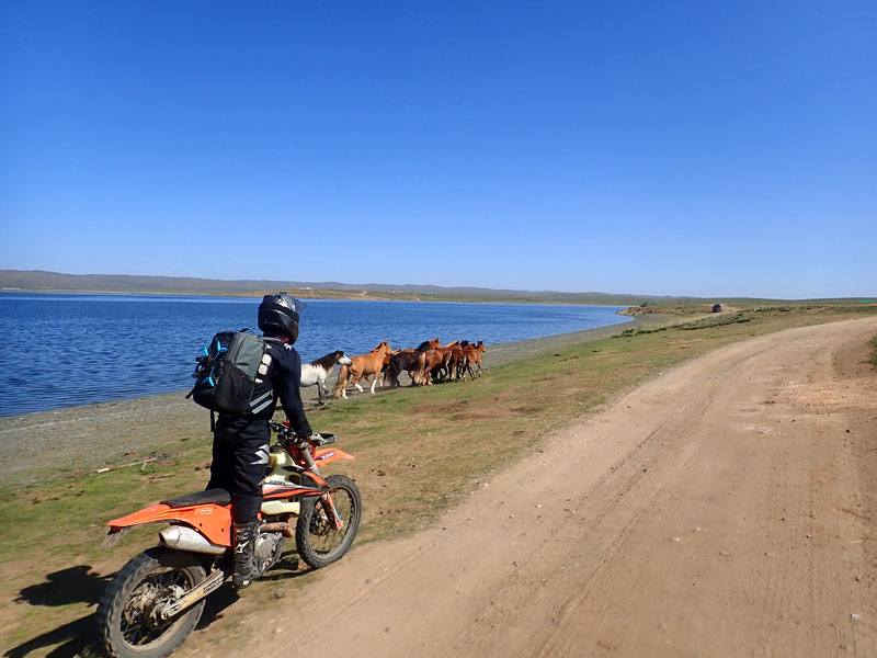 Mongolei - Khangai Little Baikal